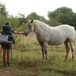 pexels-veronica-bertollo-20454298-7208904